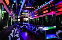 Backhall Limousine Interior